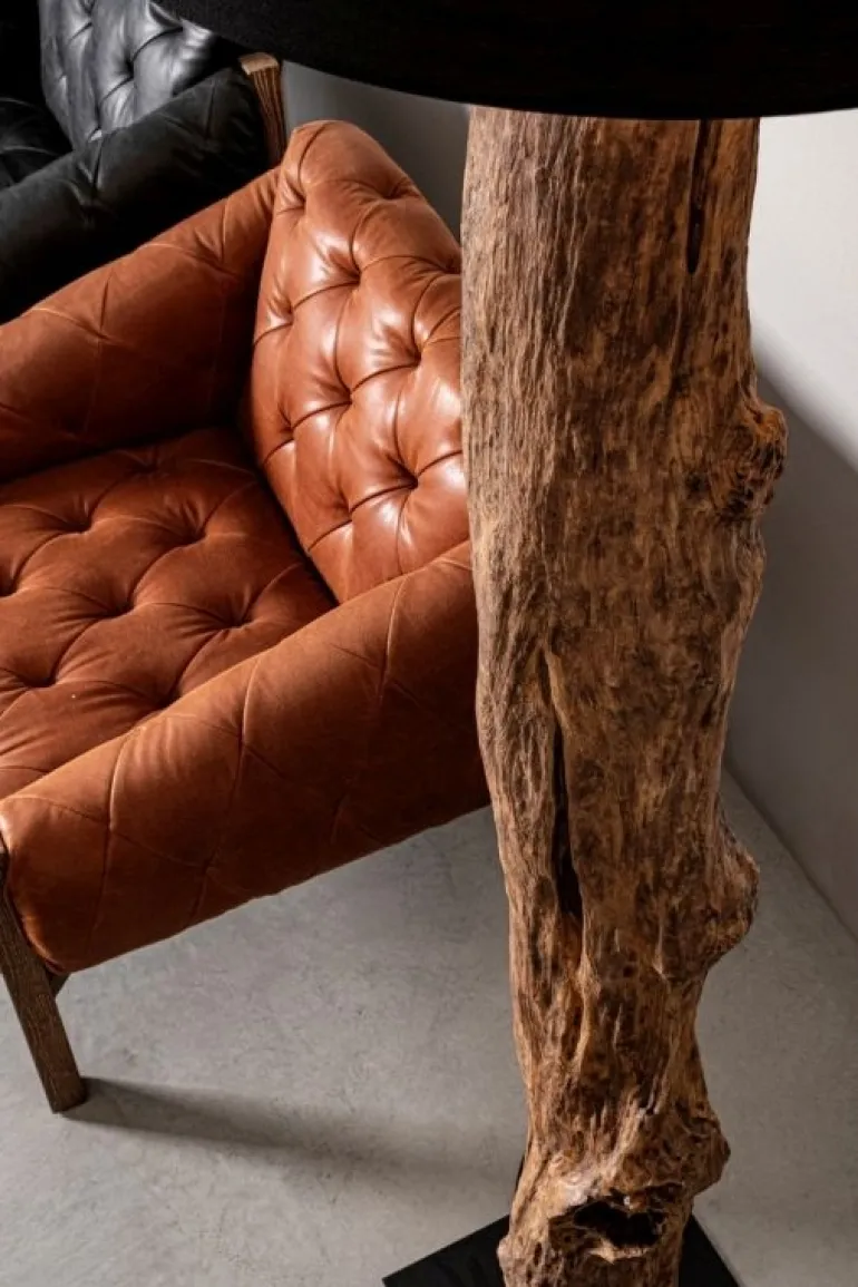 PIANTANA KLETA NERO H180