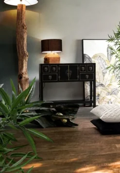 PIANTANA KLETA NERO H180