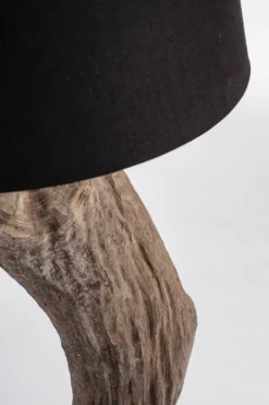 PIANTANA KLETA NERO H120