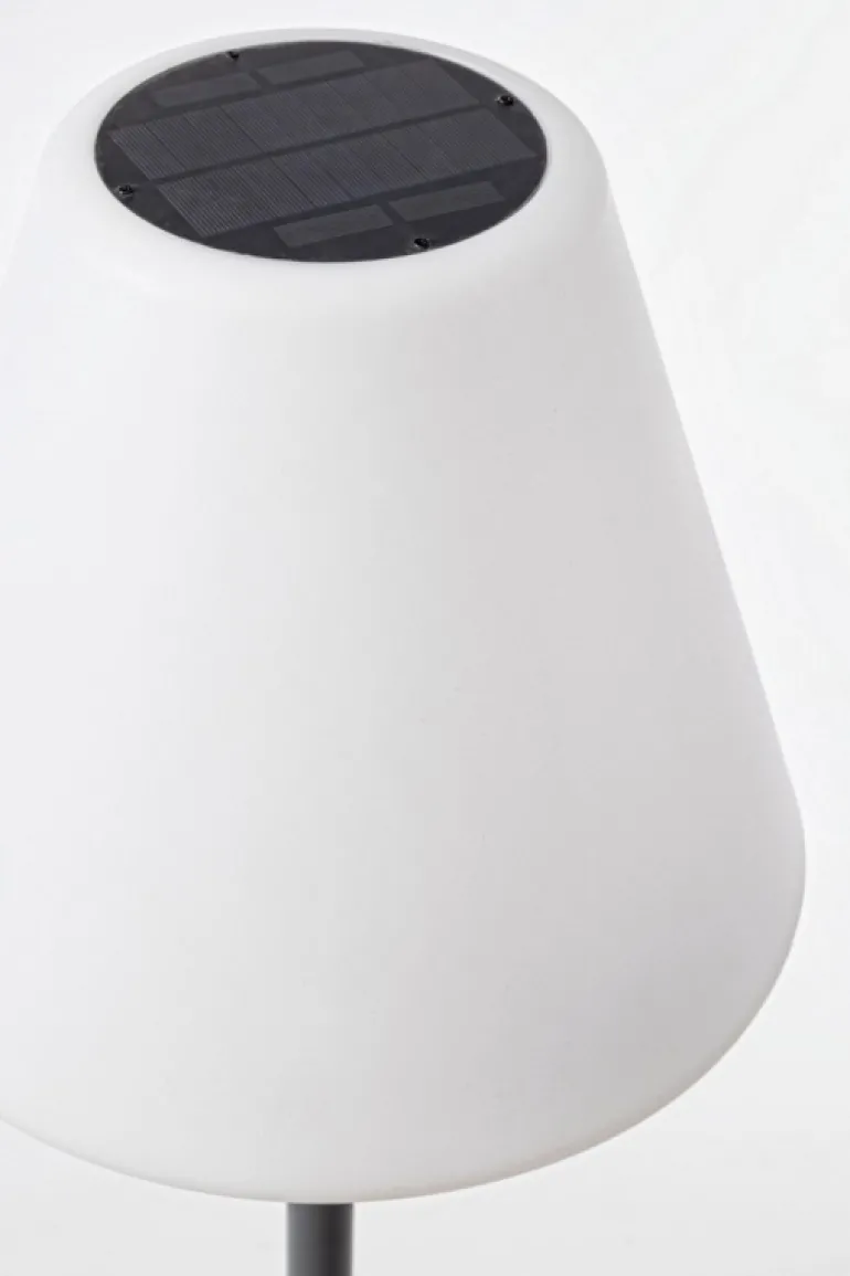 PIANTANA LED SPEAKER IN PLASTICA - SOLAR