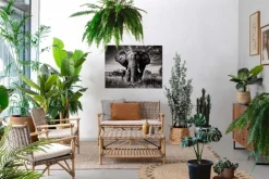 POLTRONA IN FIBRE NATURALI CON CUSCINO - TARIFA