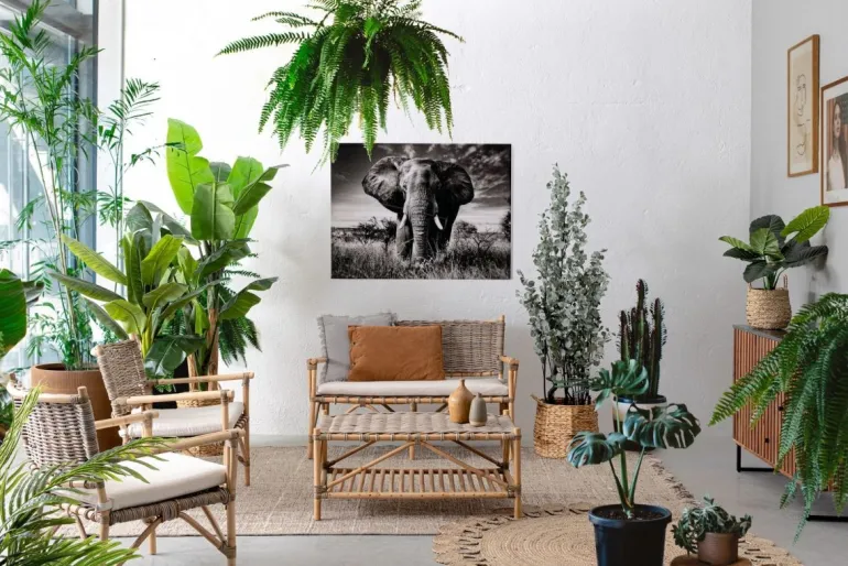 POLTRONA IN FIBRE NATURALI CON CUSCINO - TARIFA