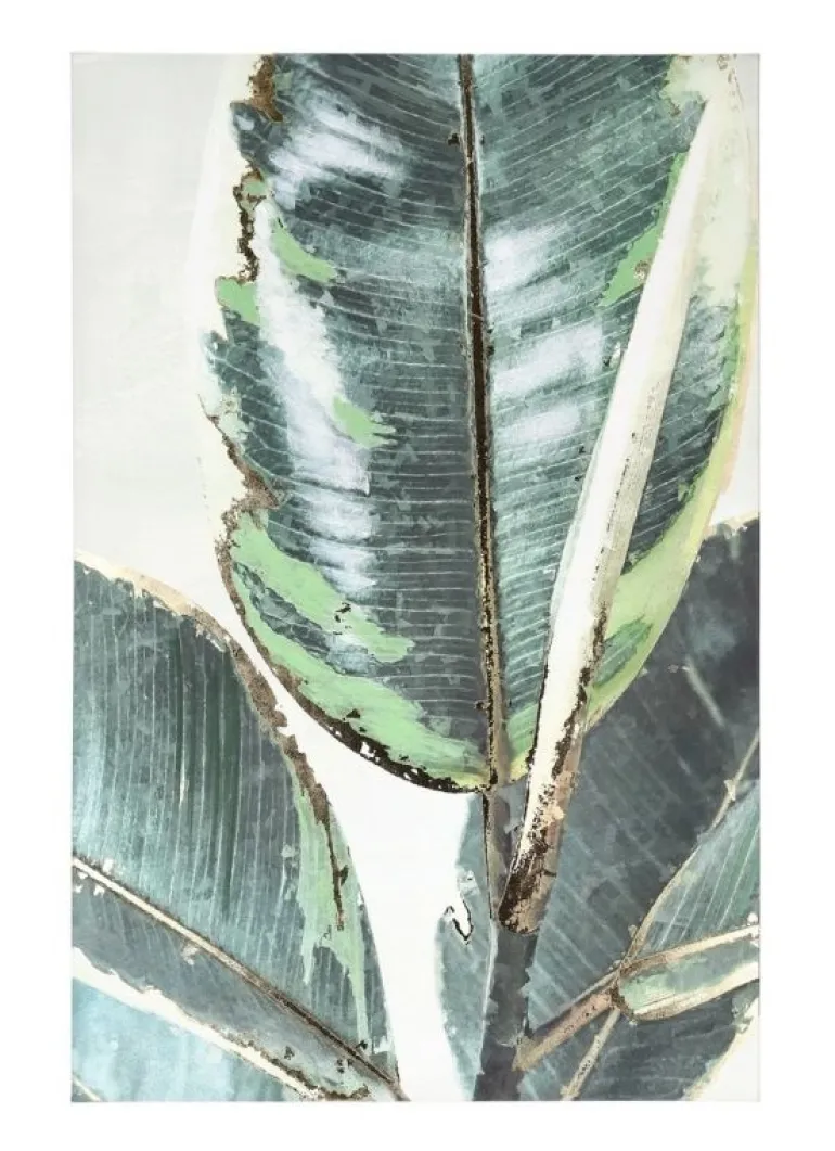 QUADRO BOLD F69 80X120