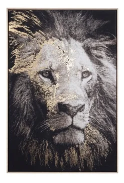 QUADRO C-C BOLD 906 82X122