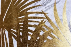 QUADRO C-C BOLD 538 122X82