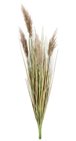 RAMO GYNERIUM PAMPAS H100