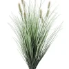 RAMO PENNISETUM H100