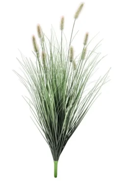 RAMO PENNISETUM H100