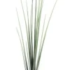 RAMO PENNISETUM H120