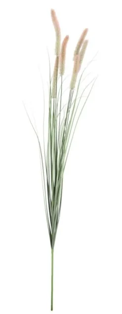 RAMO PENNISETUM H150