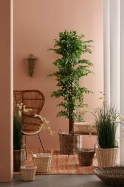 SET3 CESTA 2M RANDY SVAS SBIANCATO