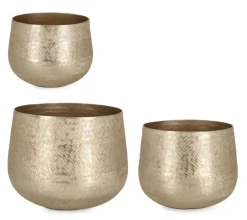 SET3 P.VASO CLAMP TO ORO