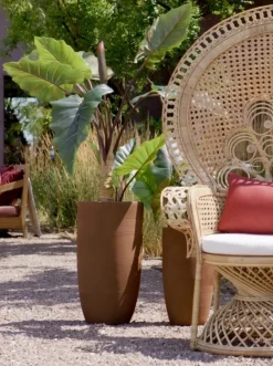 SET3 P.VASO RIGO TO RUSTY ALTO