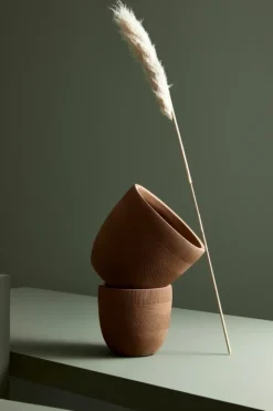 SET5 P.VASO RIGO TO RUSTY BASSO