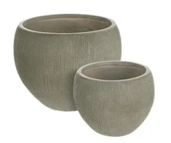 SET2 VASO BRUSH SFERA SALVIA