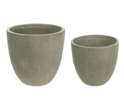 SET2 VASO BRUSH TO BASSO SALVIA