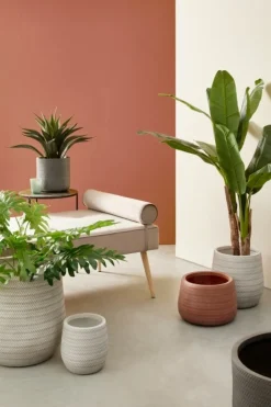 SET3 VASO TRESSAGE TO TERRACOTTA