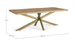 TAVOLO IN LEGNO 220X100 - JAIDEV