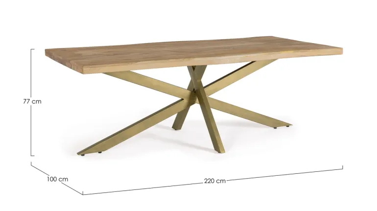 TAVOLO IN LEGNO 220X100 - JAIDEV