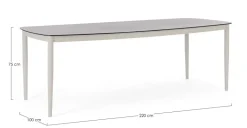 TAVOLO NESTOR 220X100 MORNY WG25