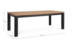 TAVOLO RODERICK 220X100